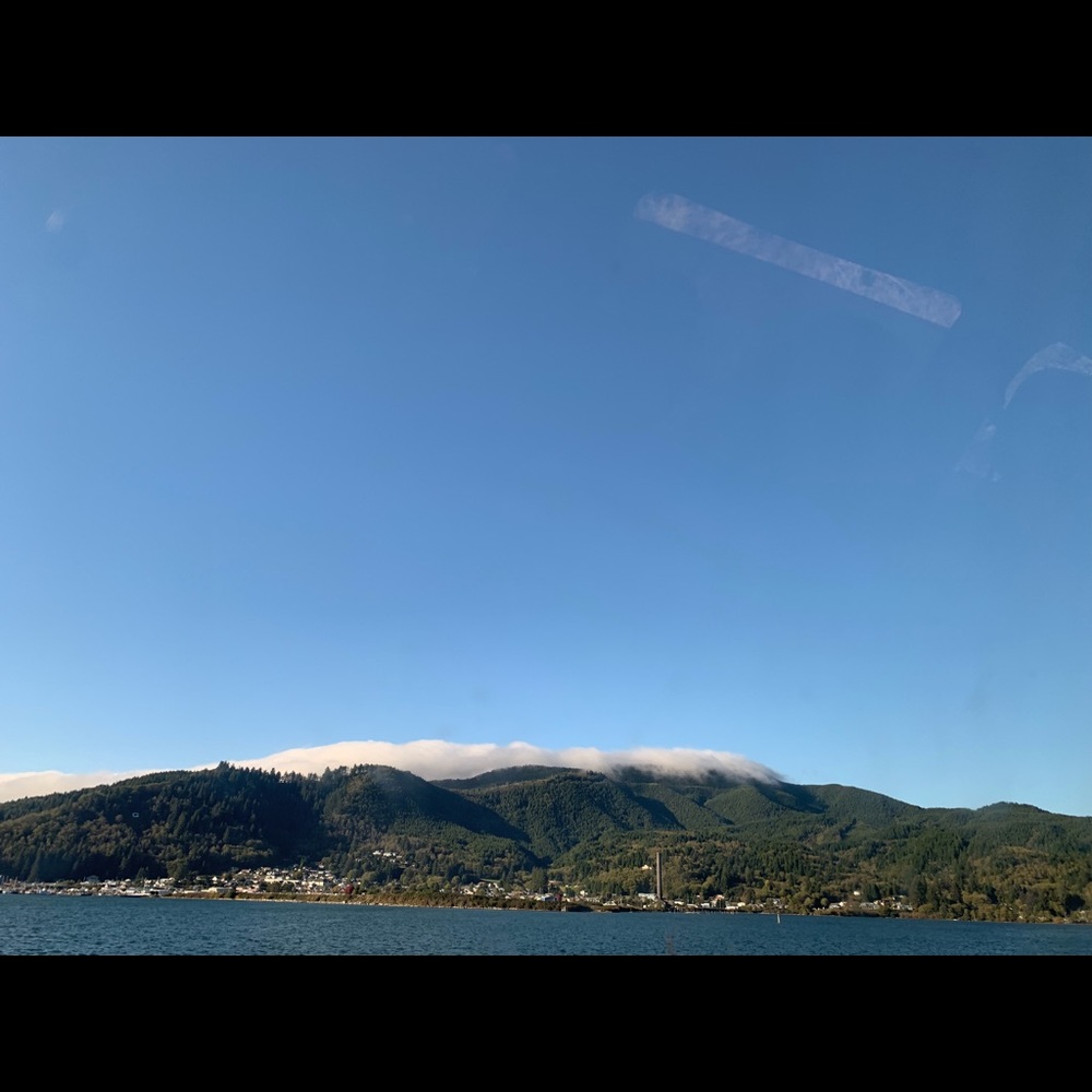 Meet your Posher, Julissa